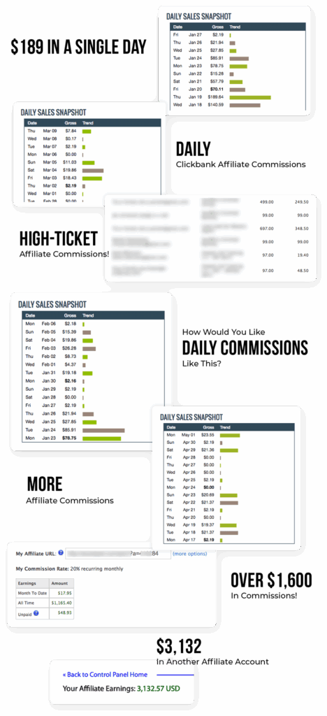 DFY Suite 7.0 Review