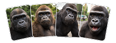 early user feedback and testimonials for Viral Characters AI software
