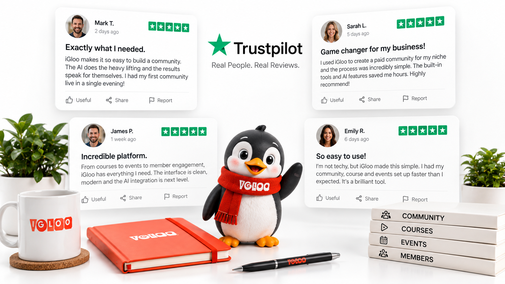 Igloo App AI Testimonials
